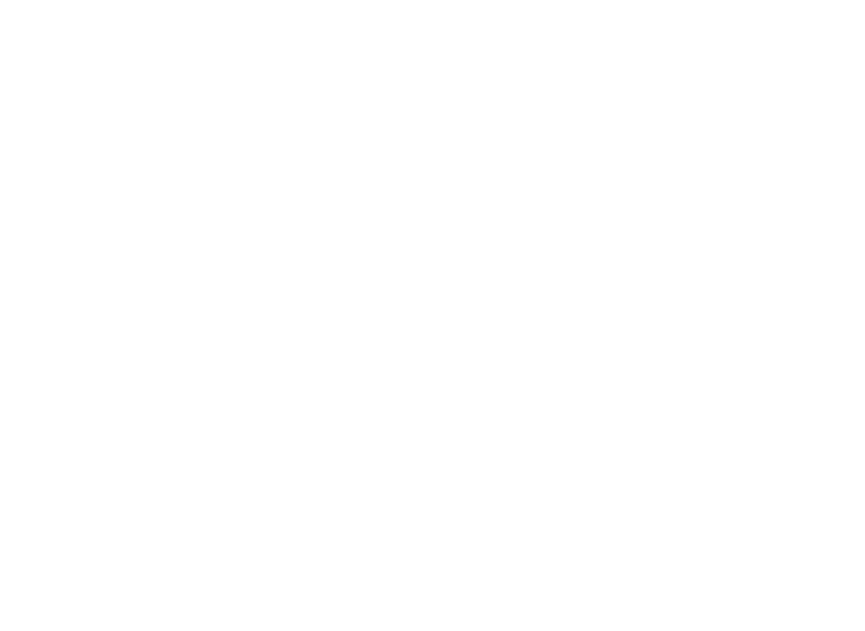 DNA Structure